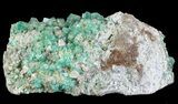 Fluorite & Galena Plate - Rogerley Mine (Special Price) #62069-2